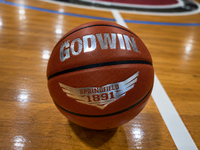 PREORDER (SHIP JULY) GODWIN Springfield 1891 Basketball – Premium Indoor Microfiber Game Ball BallHogGloves