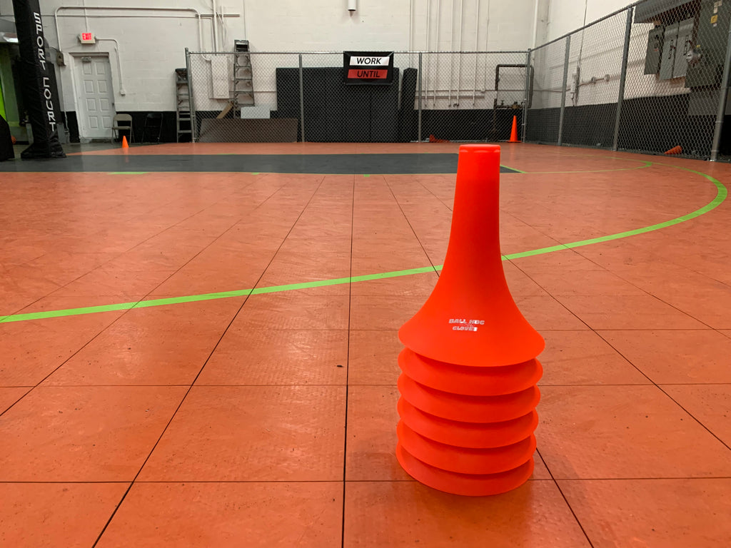 Ball Hog Training Cones